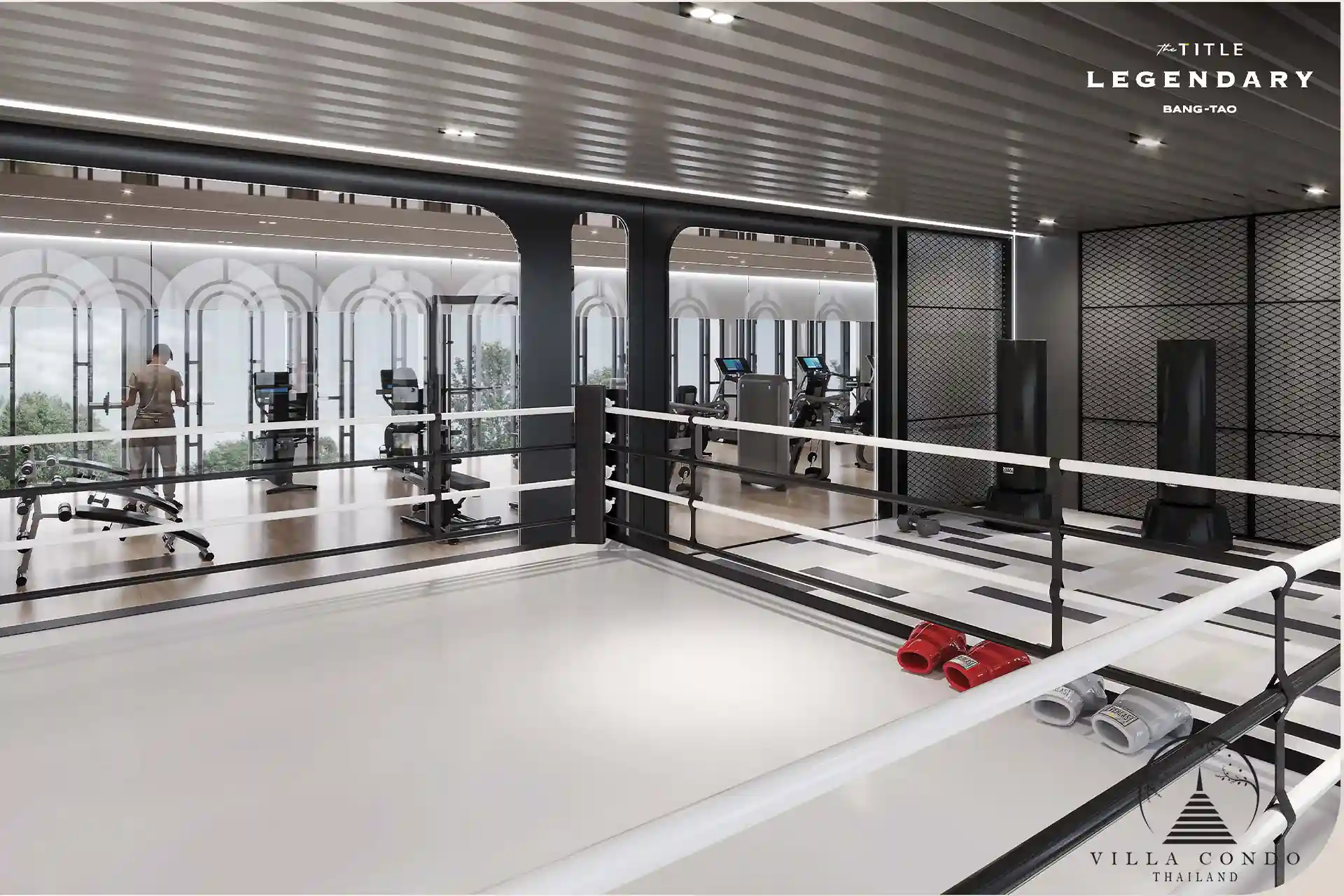 Dedicated boxing area with professional equipment.