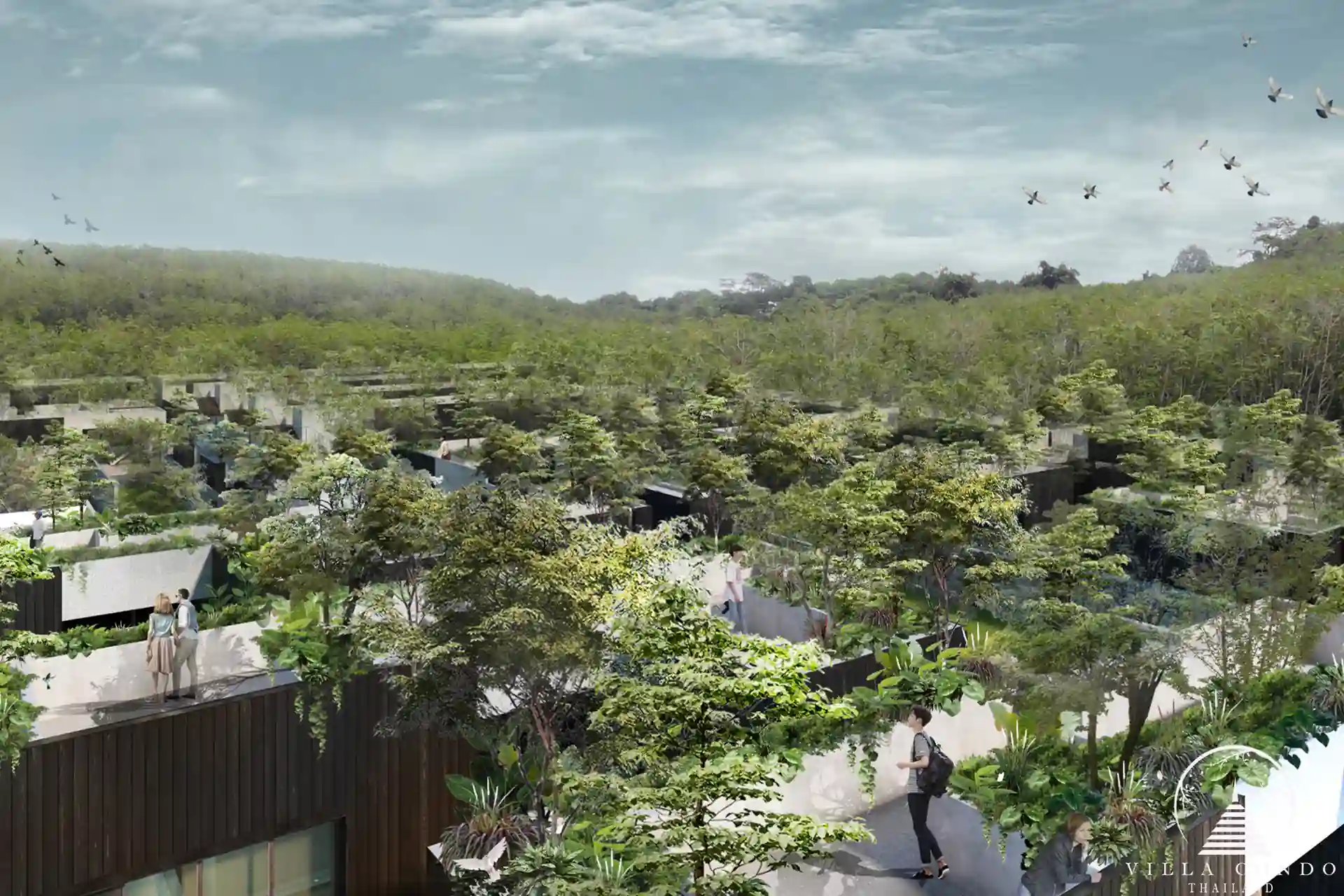 Aerial view of Villa Qabalah and surrounding forest.